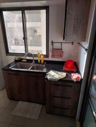Blk 1D The Pinnacle@Duxton (Bukit Merah), HDB 5 Rooms #554432081